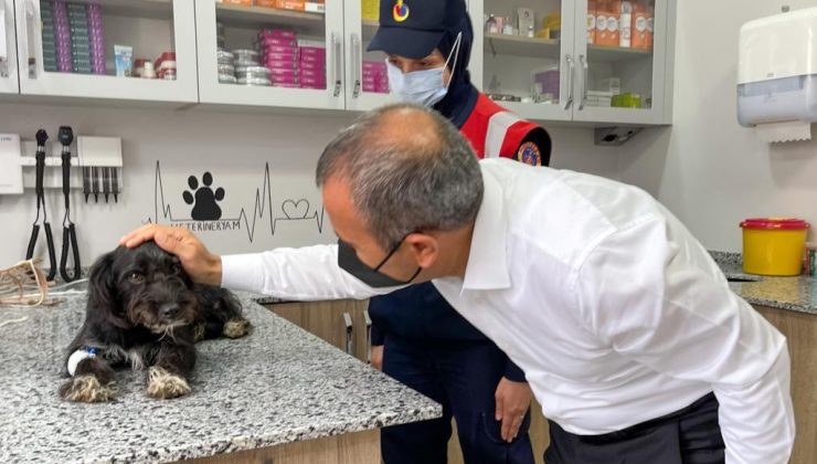 Can Dost’a Vali sahip çıktı