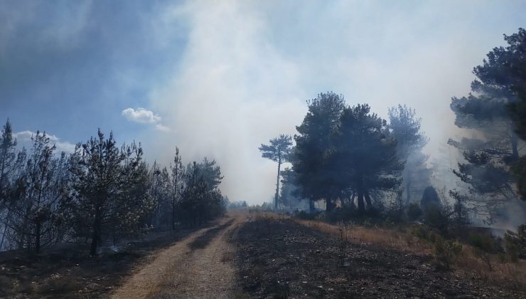 Çanakkale’de orman yangını alevler gökyüzünü kapladı