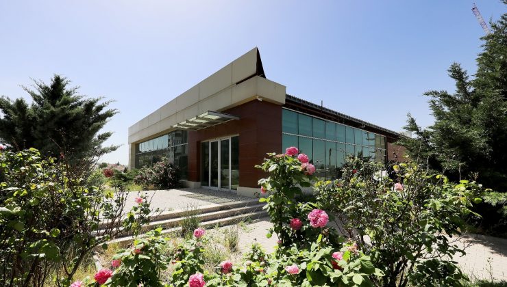 Çankaya kent merkezinde tarım