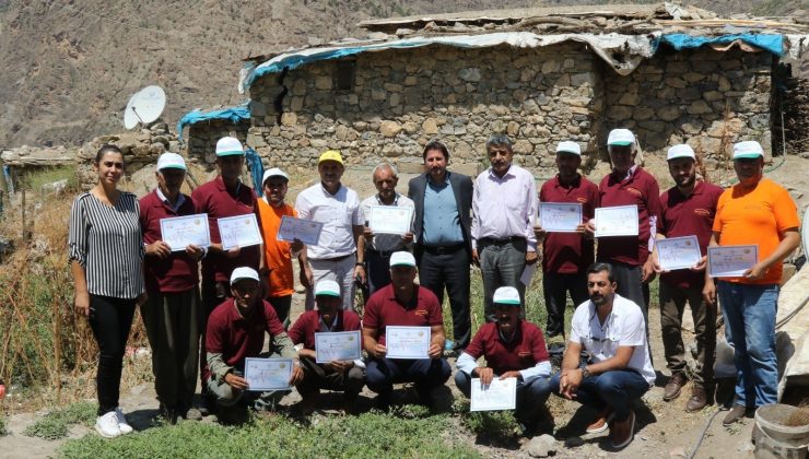 Çatak’ta Bıttım ağaçlarının fıstığa dönüştürülmesi devam ediyor