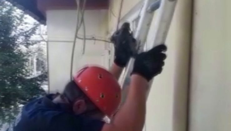Çatıdan düşen yavru güvercini itfaiye yuvasına koydu