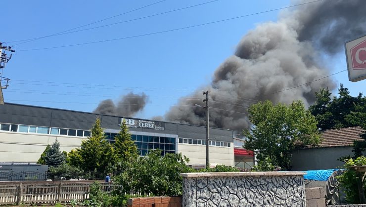 Çerez fabrikası alev alev yandı