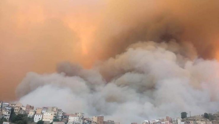 Cezayir’de 31 noktada orman yangını çıktı: 4 ölü, 3 yaralı