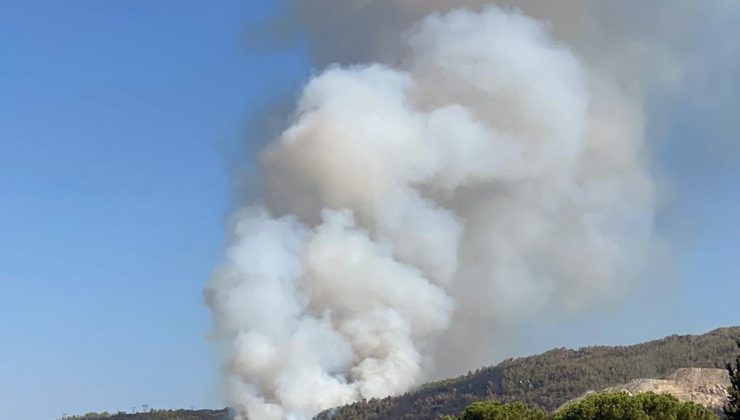 Çine’de orman yangını