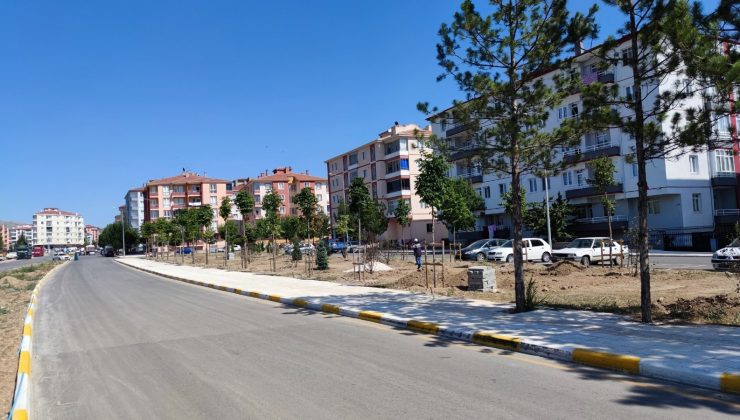 Çorum Belediyesi kenti yeşillendiriyor