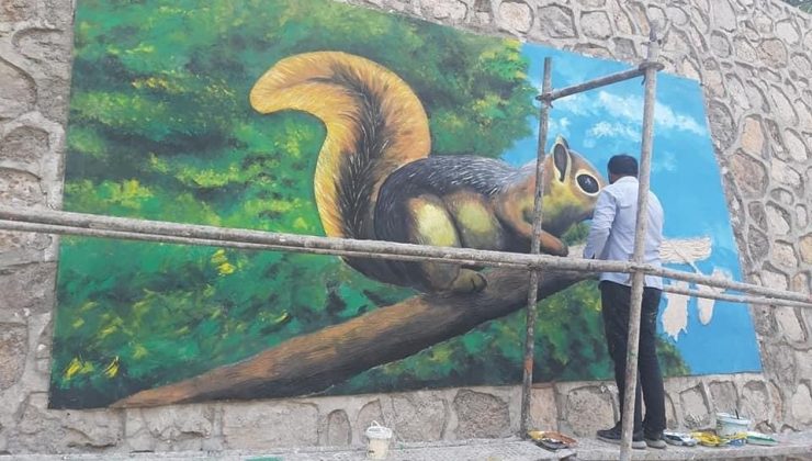 Çukurca ilçesine yapılan resimler göz kamaştırıyor