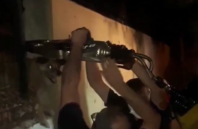 Demir parmaklıklara sıkışan köpeği itfaiye kurtardı