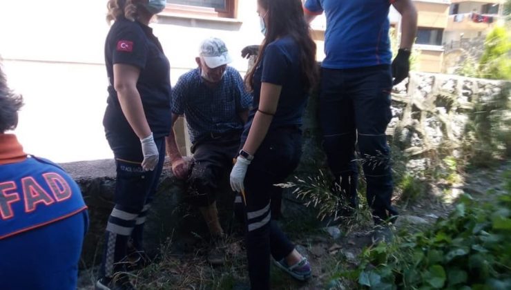 Yaşlı adam ormanlık alana yuvarlandı