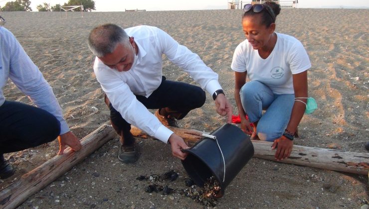 Deniz Kaplumbağaları Vali Yazıcı’nın elleriyle denizle buluştu