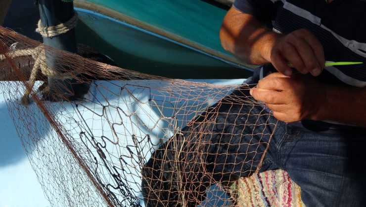 Denizlerde av sezonu başlıyor