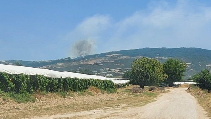 Denizli’de başlayan orman yangını için halk seferber oldu