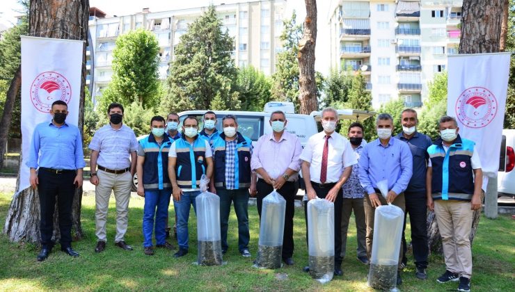 Denizli’de göllere 210 bin adet yavru sazan bırıkıldı