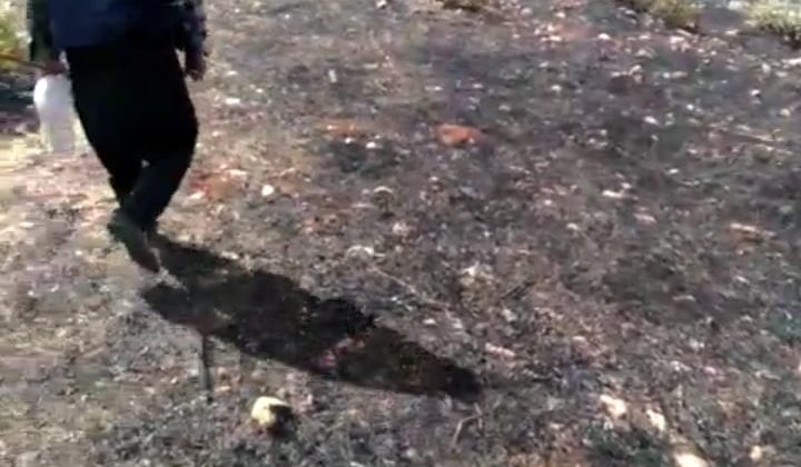 Dicle kırsalında çıkan örtü yangını söndürüldü