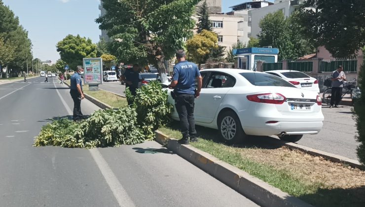 Direksiyon başında kalp krizi geçiren öğretim görevlisi hayatını kaybetti