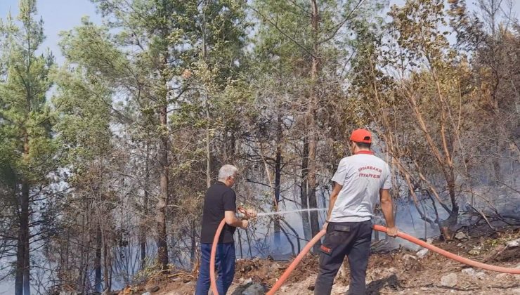Diyarbakır İtfaiyesi Alanya’da yangına müdahale çalışmalarını sürdürüyor