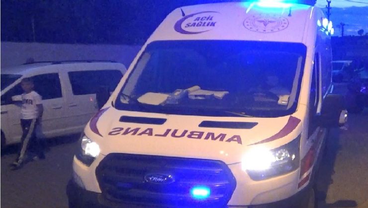 Diyarbakır’da hayvan otlatma kavgası