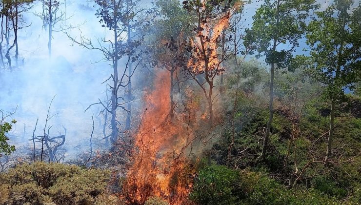 Doğa harikası Nemrut kalderasında korkutan yangın