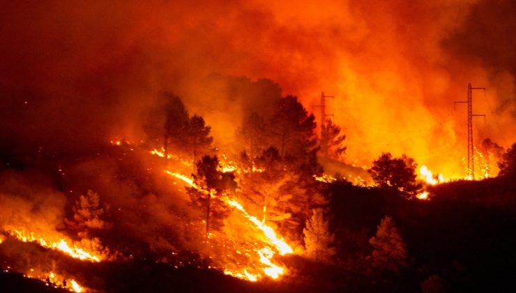 Milyonlarca hektar ormanlık alan yandı