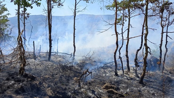 Kraterdeki yangın kontrol altına alındı