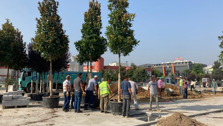 Düzce kent merkezinde 49 ağacın dikimine başlandı