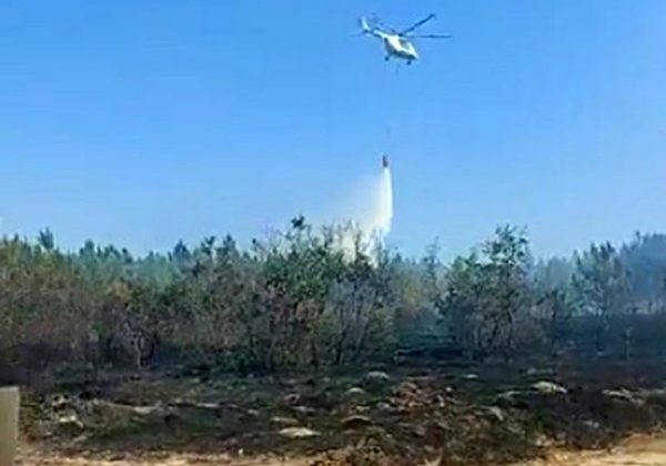 Edirne’de orman yangını kontrol altına alındı