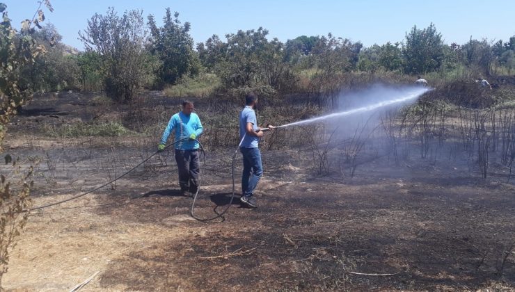 Efeler Belediyesi ekipleri alevlere geçit vermedi