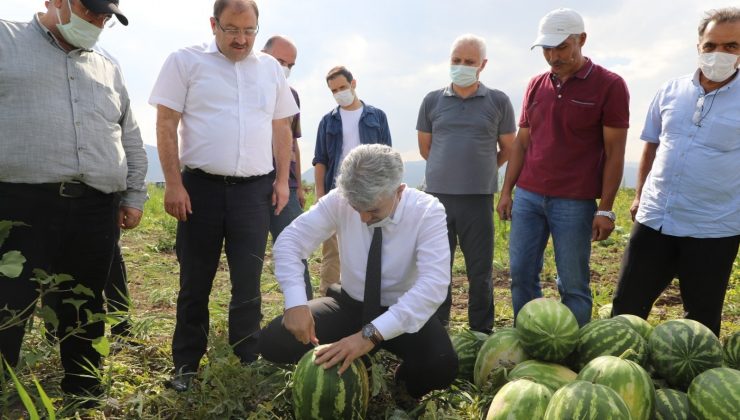 Erzincan’da hasat dönemi