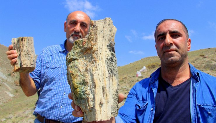 Erzurum’da 160 milyon yıllık keşif