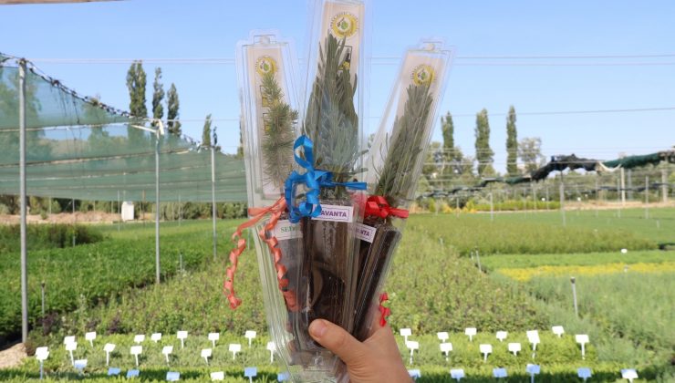 Eskişehir’de üretilen “Nikâh Fidanları” farklı etkinliklerde dağıtılıyor