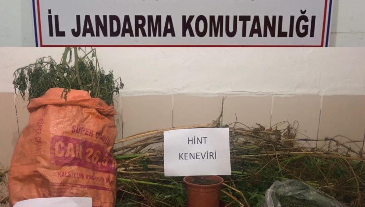 Evinde uyuşturucu ve kenevir ele geçen şahıs tutuklandı