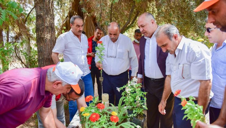 Feyyaz Soylu, şehitlerin kabirlerini süs bitkileriyle donattı