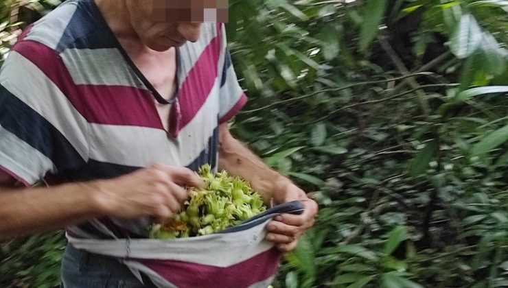 Fındık hırsızını köylüler yakaladı