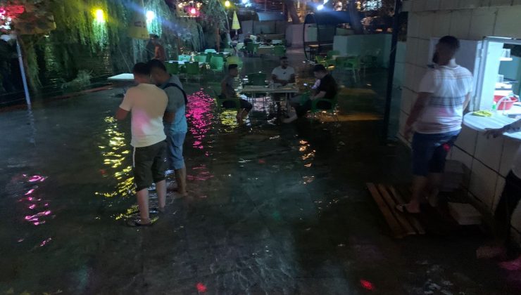 Fırat’ta su seviyesi yükseldi, çay bahçelerini su bastı