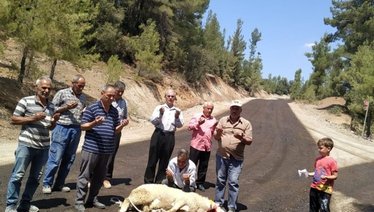 Gelen asfalt için kurban kestiler