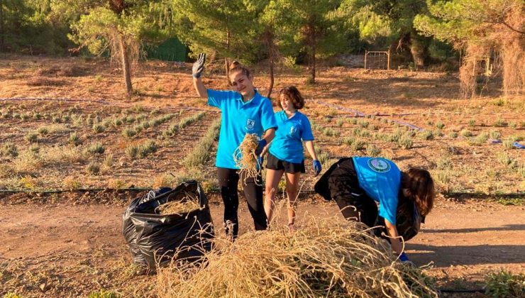 Gençlik Tarım kampı’nda 3.dönem başladı