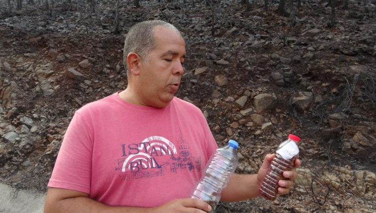 4 bin ağaç tohumunu paylaşmak istiyor