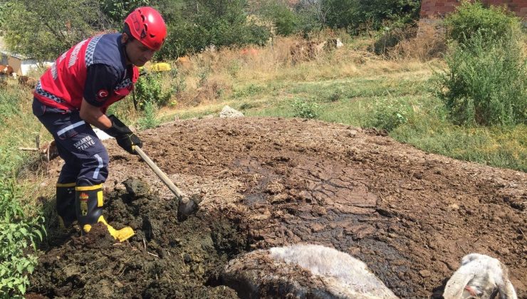 Gübre yığının içine batan eşek, itfaiye ekiplerince kurtarıldı