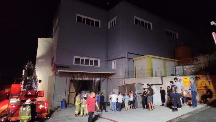 Hadımköy’deki ambalaj fabrikasında çıkan yangın paniğe sebep oldu