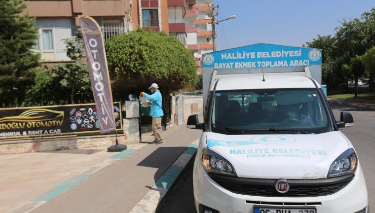 Haliliye’de ekmek israfı önleniyor