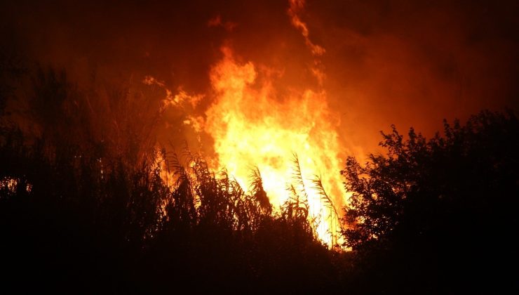 Hatay’da otluk yangını kontrol altına alındı
