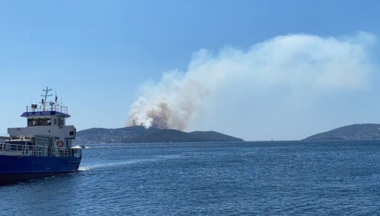 Heybeliada’da orman yangını