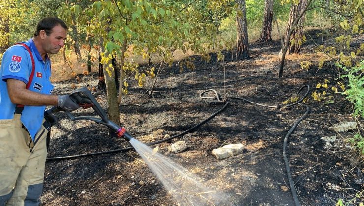 Hızlı müdahale ormanı kül olmaktan kurtardı