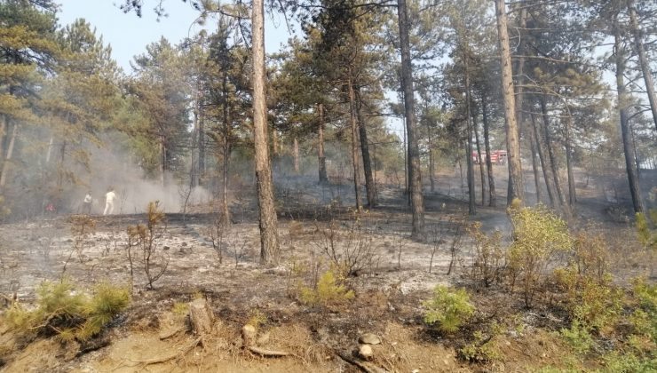 Honaz’da ikinci yangında kontrol altına alındı