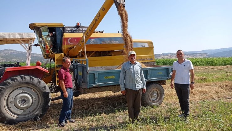 Hububatta biçerdöver kontrolü