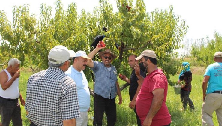 Iğdır İl Tarım Müdürü Yolcu, tarlada çalışan çiftçileri dinledi