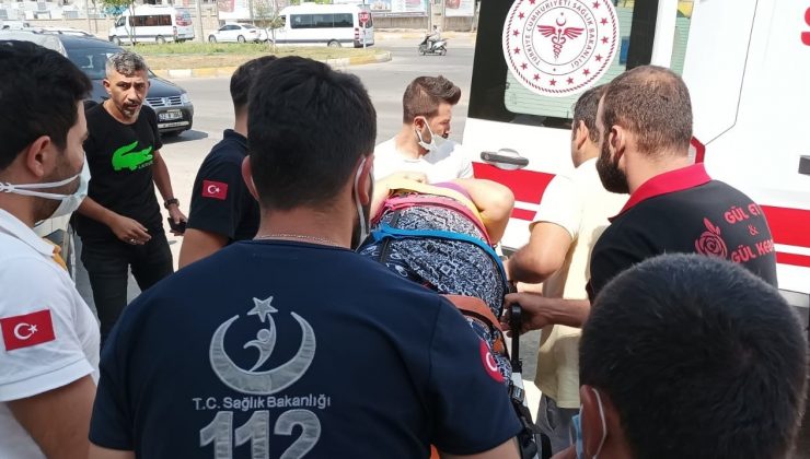 İncir ağacından düşen kadın yaralandı