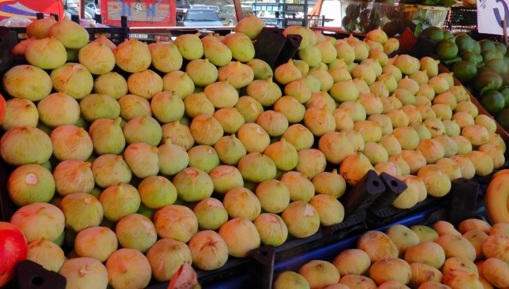 İncirin fiyatı cep yakıyor