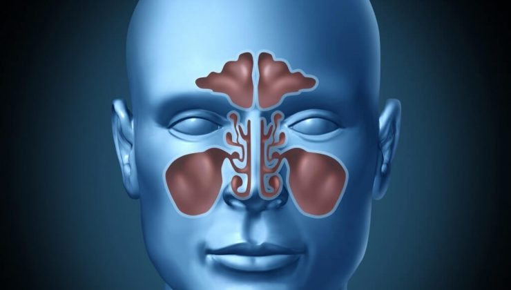 Islak saçla uyumayın