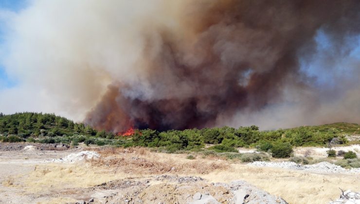 İzmir’de yangına dirençli yeşil örtü için “orman seferberliği” başlatılıyor