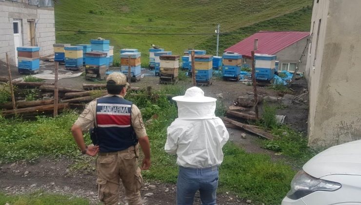 İzoleli coğrafi bölgeye arı ırkı sokan şahsa 15 bin 203 lira ceza kesildi